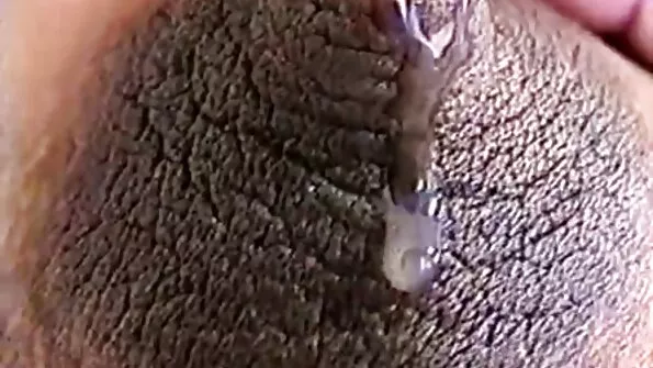 تعادل خطوة الأخت مارس الجنس افلام اجنبي سكس مترجم من قبل ترانزيستور