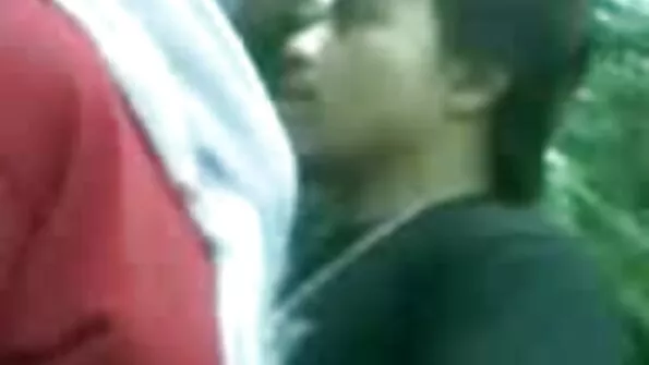 الحمار يبقى جنس جماعي عربي في المنزل